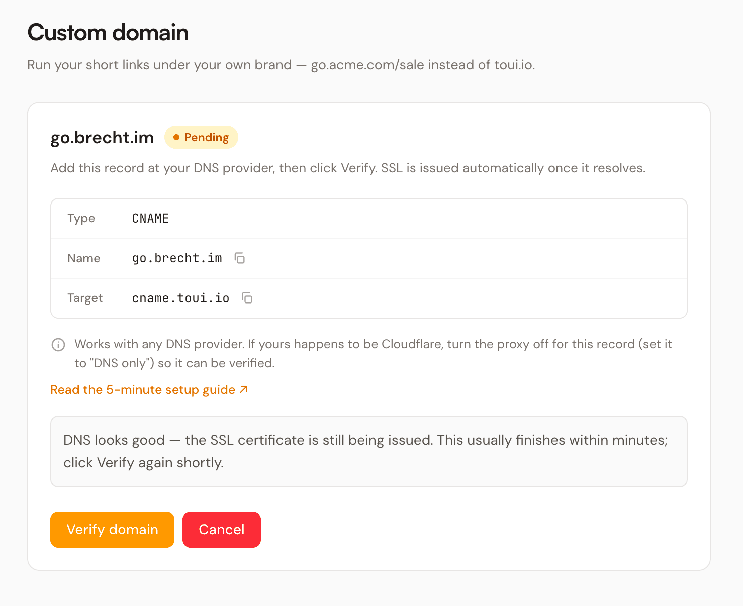 DNS resolves but the certificate is still being issued — the screen says to wait a moment and click Verify domain again
